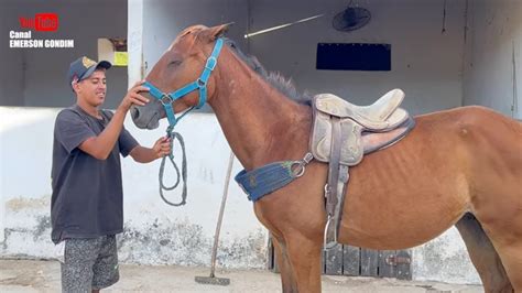 Homem faz porno fodendo sua primeira égua